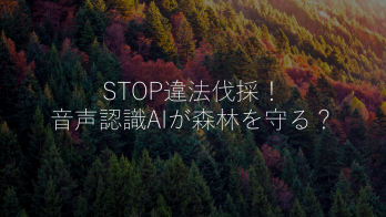 STOP違法伐採！自然環境の音を聞いて森林を守るAI